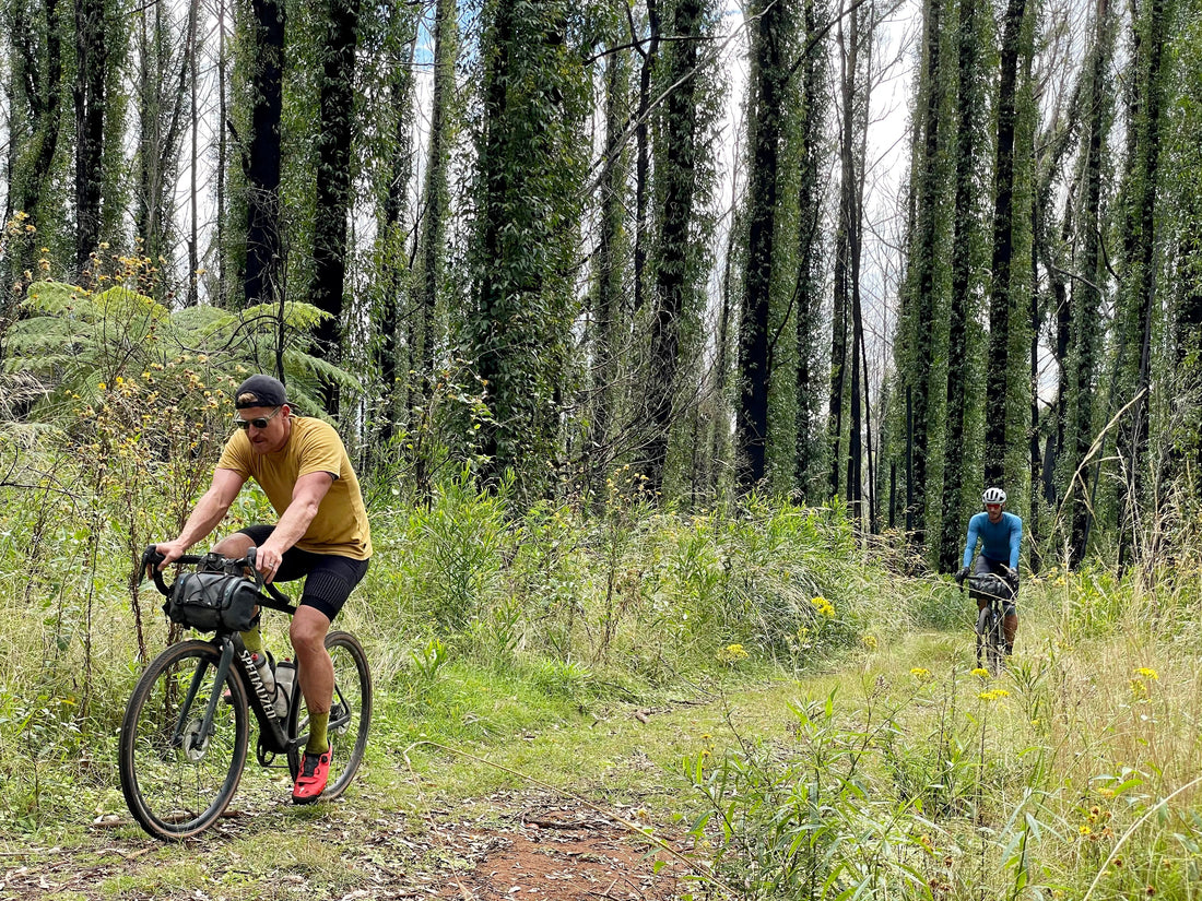 Unbound Velo's Take on an Aussie Classic - Attack of the Buns
