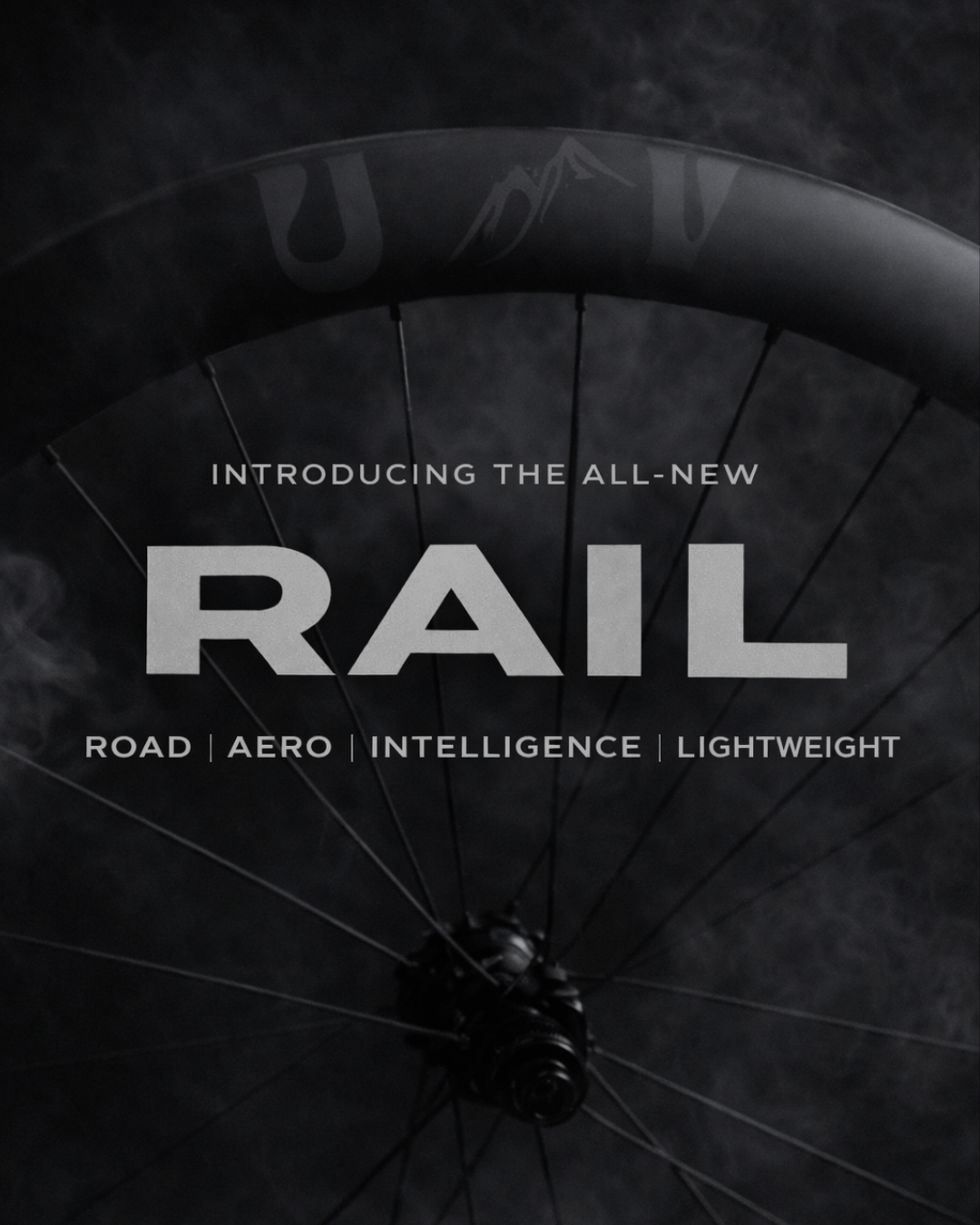 UV-carbon RAIL 45 Wheel set